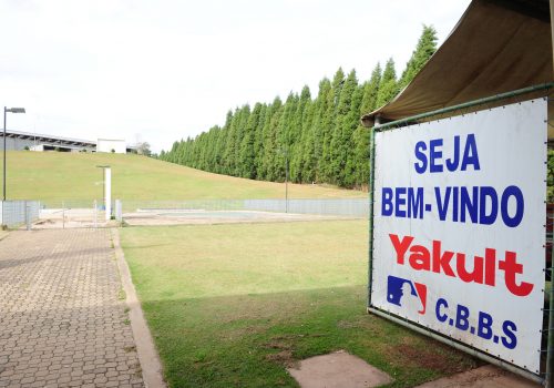 III Festival Nacional de T-Bol – Taça Yakult será dias 21 e 22