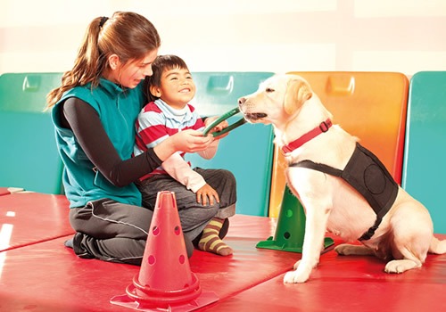 Cães também podem ser terapeutas