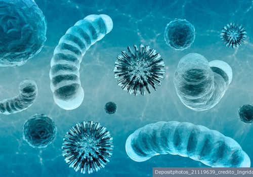 Universo microscópico a ser desvendado