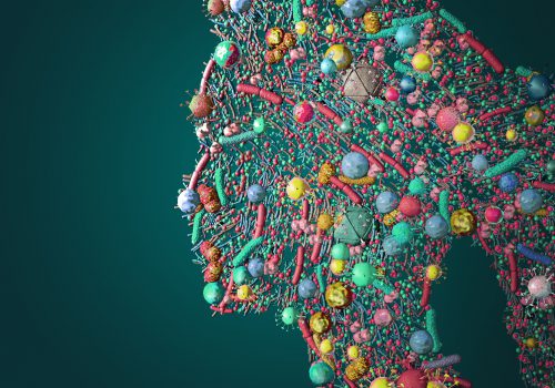 Um dia para lembrar a importância do microbioma humano 