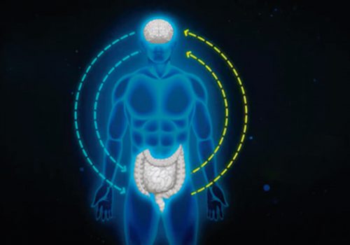 Eixo cérebro-intestino em desenho animado