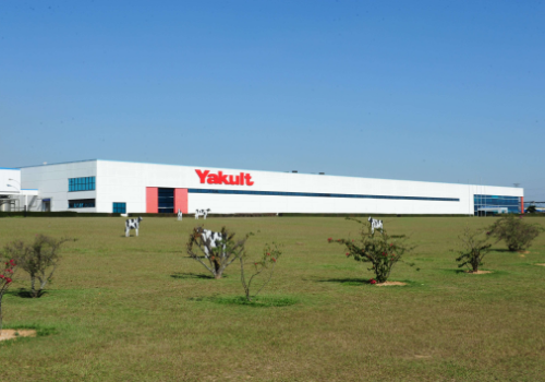 Yakult completa 55 anos de Brasil