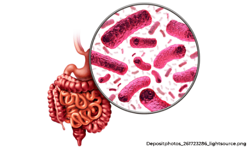 As formas digestivas da doença de Chagas