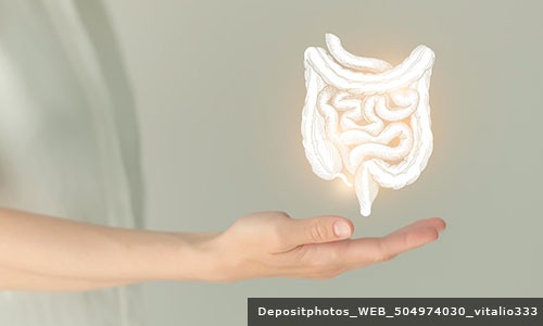 O microbioma humano é celebrado em 27 de junho 
