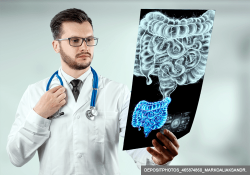 O papel da microbiota na epilepsia