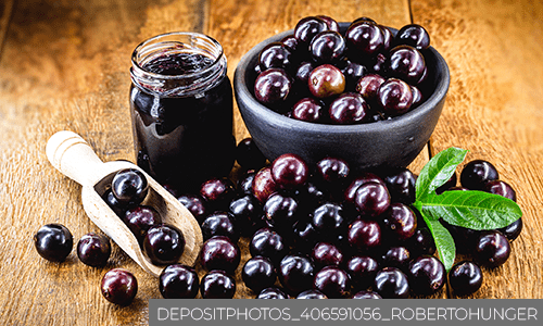 Jabuticaba é gigante em benefícios
